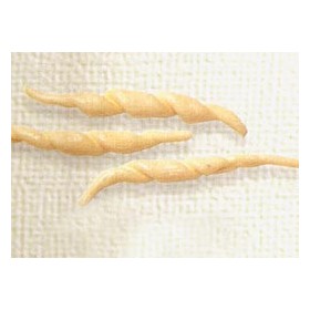 MEZZI RIGATONI SENATORE CAPPELLI KG.1